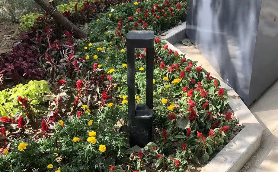 1664503472145956.jpg 0231.jpg